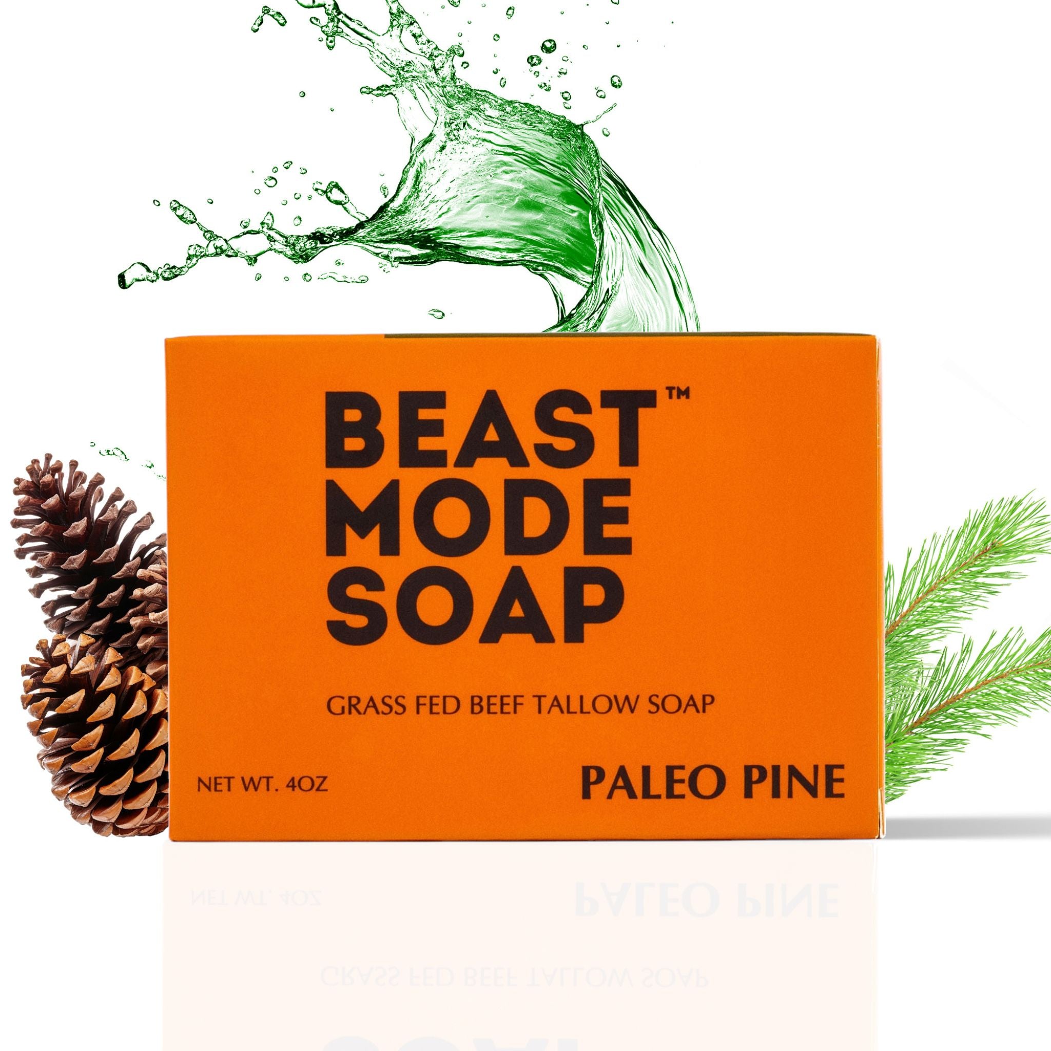 #scent_Paleo Pine